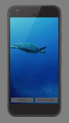 Sea Life Theme Video Wallpaper android App screenshot 0